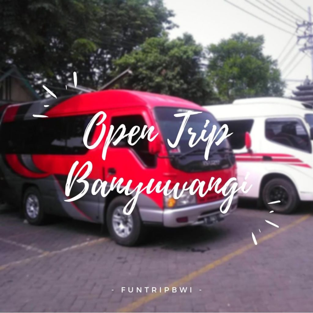 Hallo Gaes?

Butuh transport Open Trip Banyuwangi?

Butuh antar j...