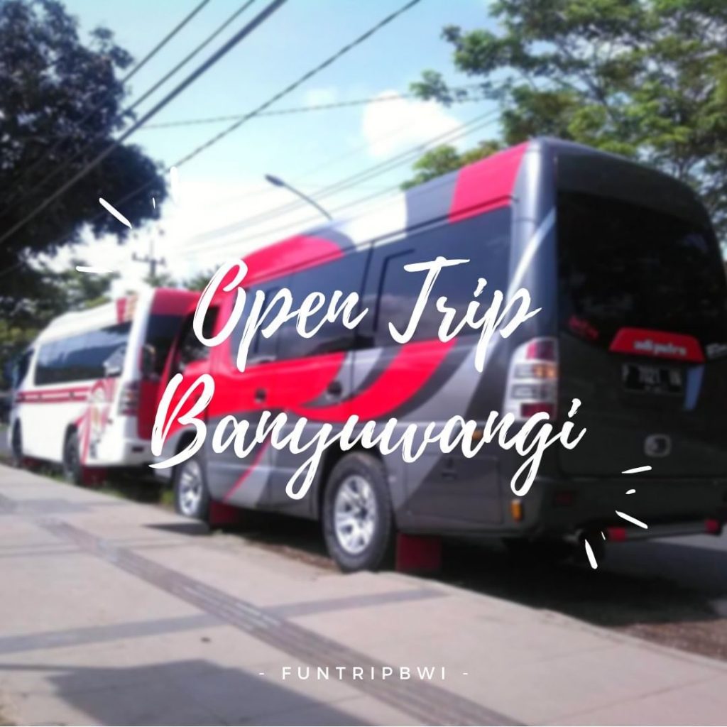 Hallo Gaes?

Butuh transport Open Trip Banyuwangi?

Butuh antar j...